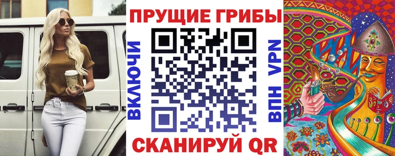 Купить закладки  Никольское  Галлюциногенные грибы мицелий 